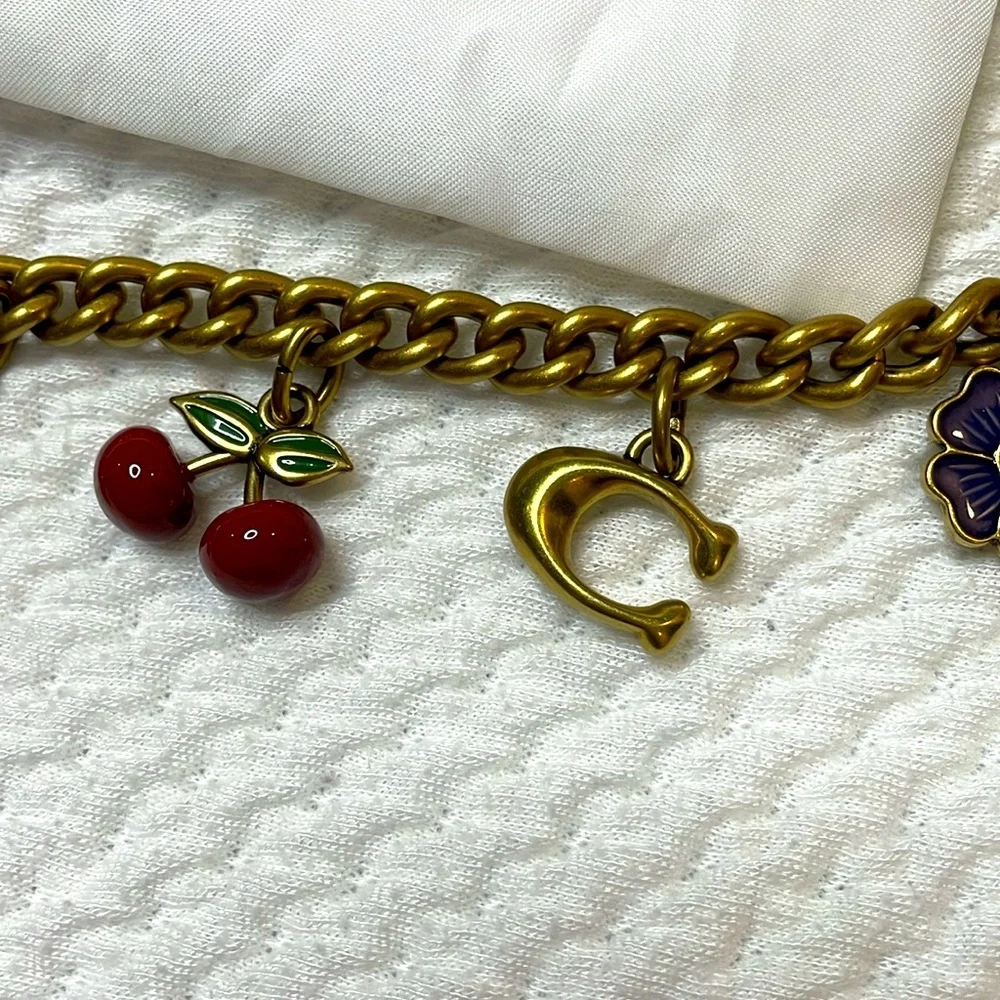 NWT Coach Motif Chain Bag Charm Rexy Tea Rose Cherries Heart Brass Mult…